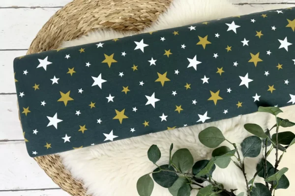 Baumwolljersey mit bunten Sternen in der Farbe grün